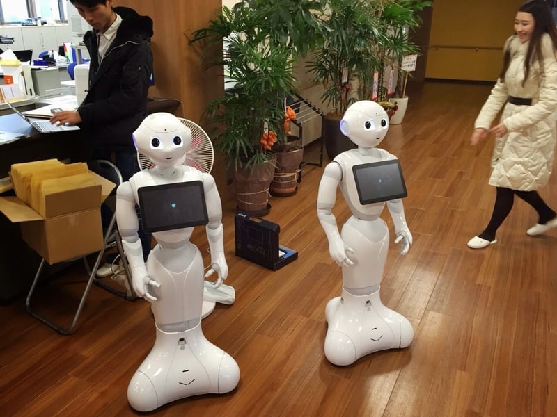 オフィスに導入された2台の Pepper